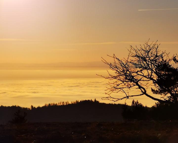 Hochkopf-Stub